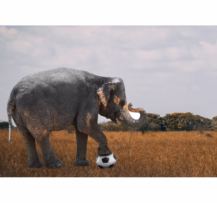 他の動物 壁画　サッカーをする象 - TENSTICKERS