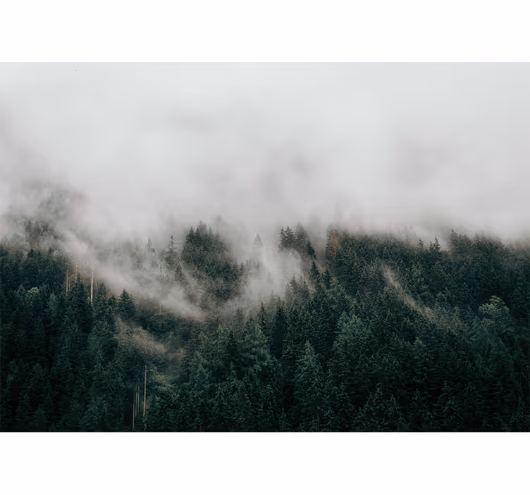 森の壁の壁画霧の森の風景 - TENSTICKERS