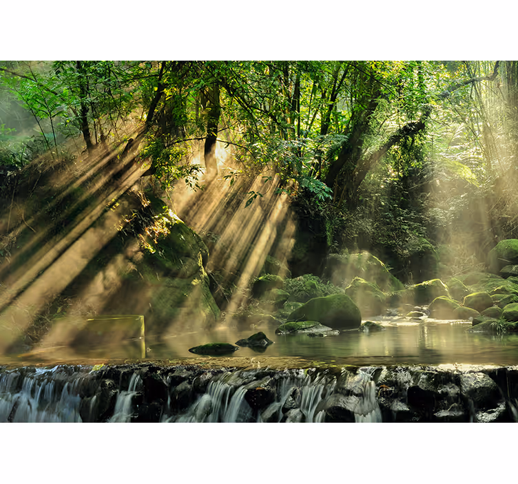 自然 壁画 太陽に照らされた森の小川 - TENSTICKERS