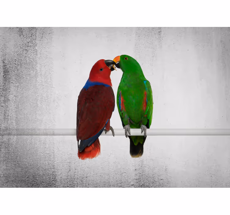 他の動物 壁画 カラフルなオウムのふれあい - TENSTICKERS