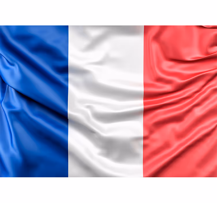 他の都市や国 壁画 フランスの旗 - TENSTICKERS