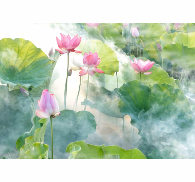 平和な蓮の花の壁画 - TENSTICKERS