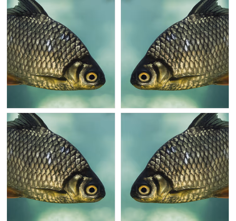 コースター フリーク リアルな魚のイメージ - TENSTICKERS