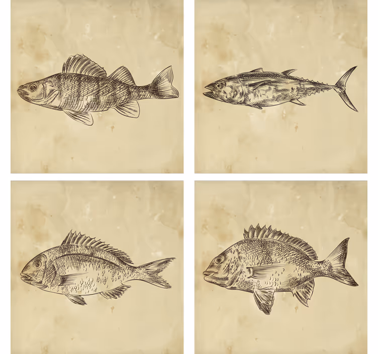 素晴らしいヴィンテージ描かれた魚のコースター - TENSTICKERS