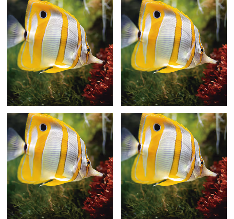 現代のコースター 明るい魚の画像 - TENSTICKERS