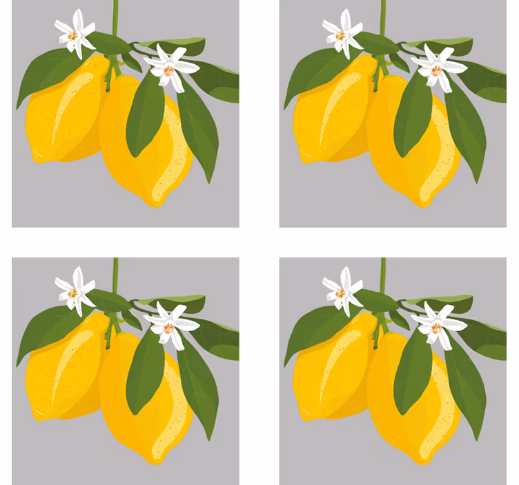 レモンの木の柑橘類のコースター - TENSTICKERS