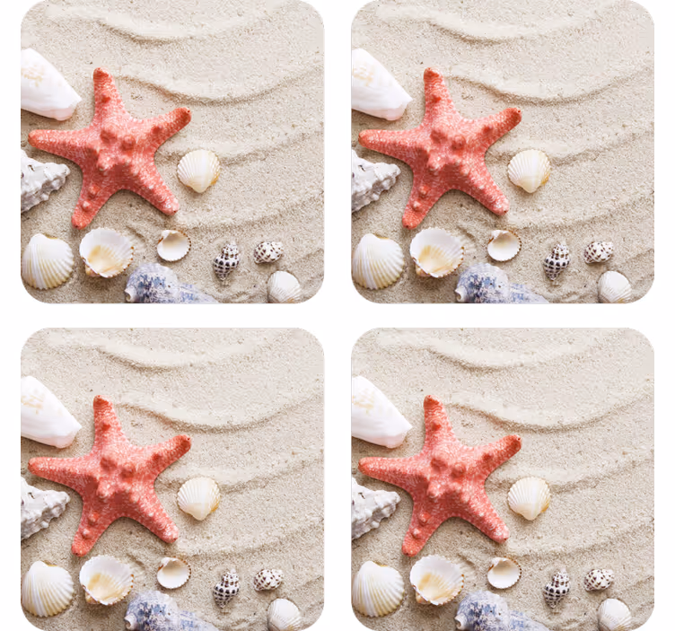 現代のコースター星と貝殻のアクセント - TENSTICKERS