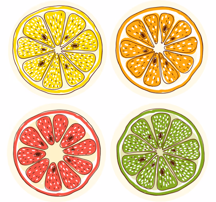 その他のコースターシトラススライスモチーフ - TENSTICKERS