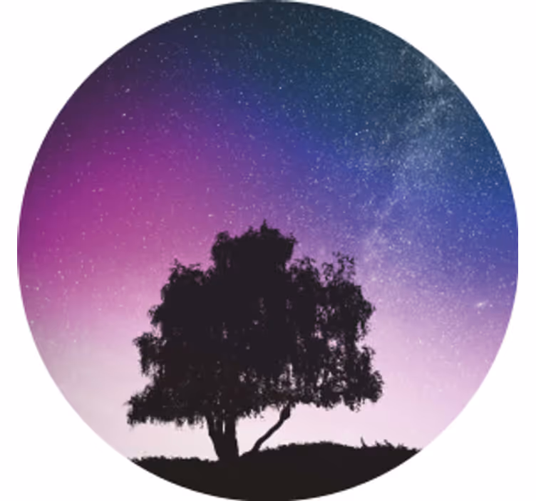 現代のコースター 星降る夜の木 - TENSTICKERS