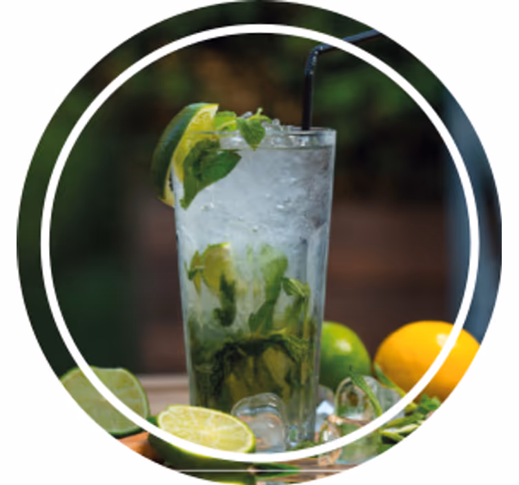 現代のコースター爽やかなミント飲料 - TENSTICKERS