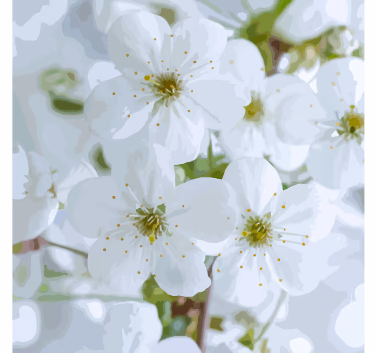 コースターテクスチャ効果 繊細な桜の花 - TENSTICKERS