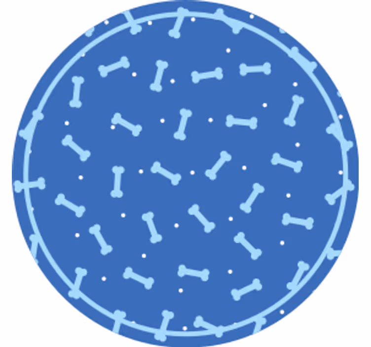 コースターテクスチャ効果ボーンパターンサークル - TENSTICKERS