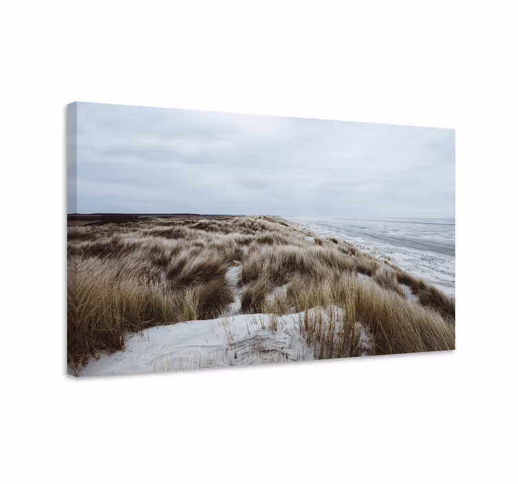 キャンバス 風景 海岸の砂丘の眺め - TENSTICKERS