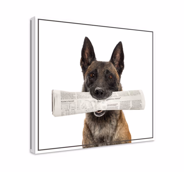 新聞の犬のキャンバスプリントと犬 - TENSTICKERS