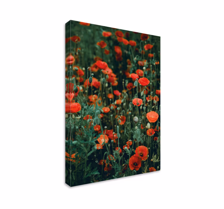 キャンバス 花や植物 赤い野生の花畑 - TENSTICKERS