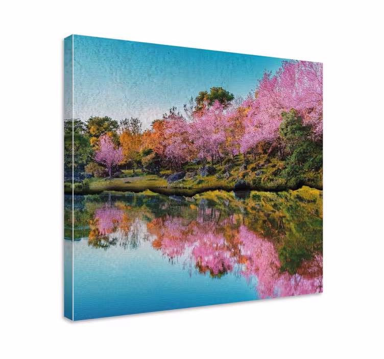 キャンバス 風景 桜の花の映り込み - TENSTICKERS