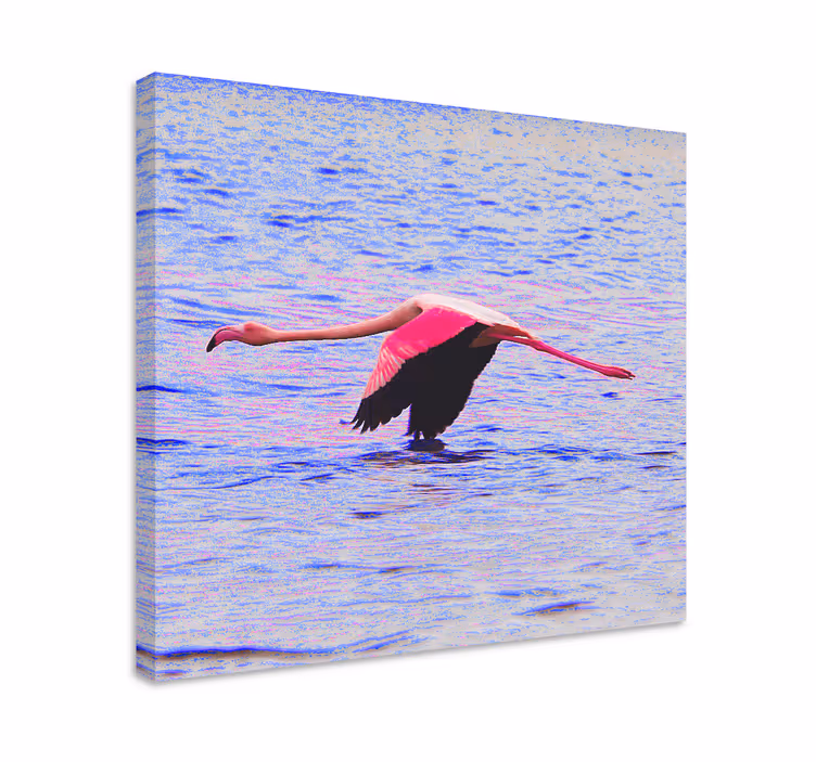 キャンバス 魚 飛ぶフラミンゴ - TENSTICKERS