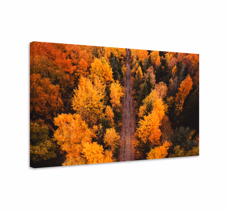 キャンバス 風景 秋の紅葉の小道 - TENSTICKERS