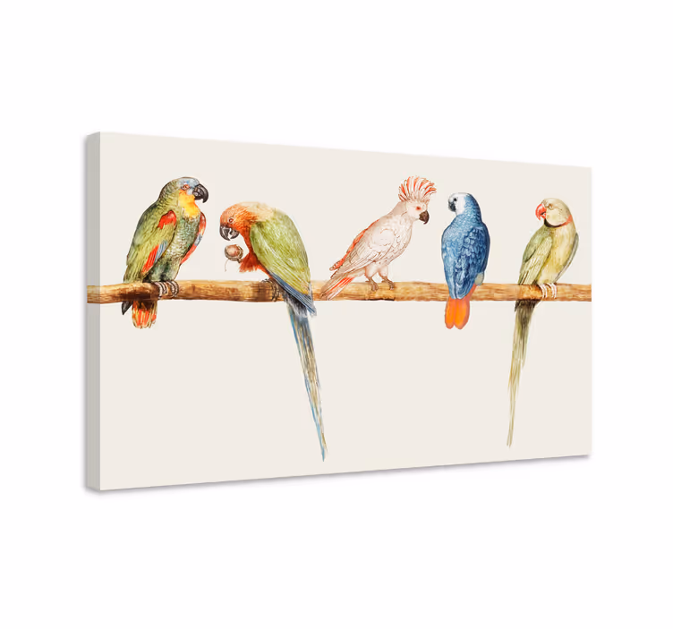 キャンバス 鳥 カラフルなオウムコレクション - TENSTICKERS