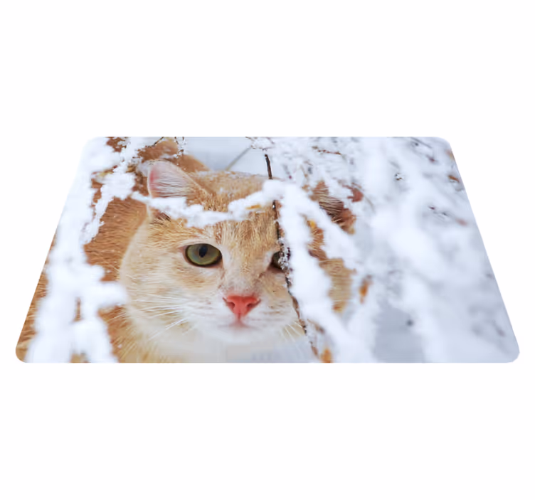 動物 ビニールマット 氷柱のある猫 - TENSTICKERS