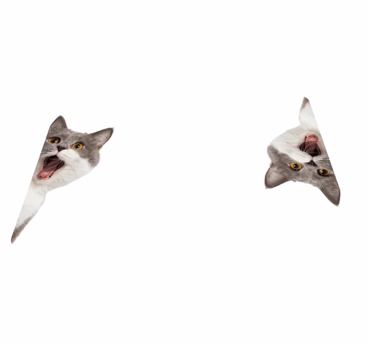 動物 ビニールマット 猫が白背景で見つめる - TENSTICKERS
