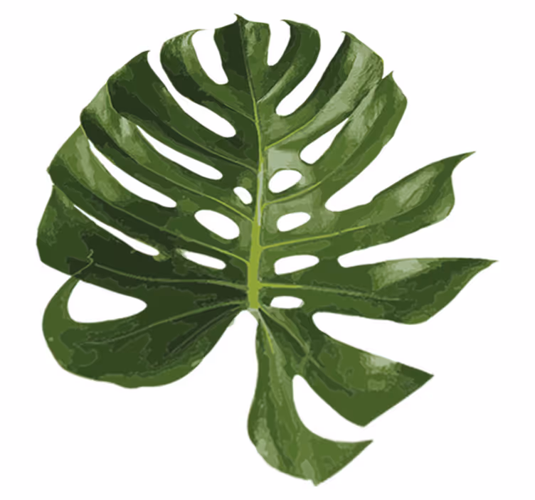 花と植物の壁画美味しいモンステラの葉 - TENSTICKERS
