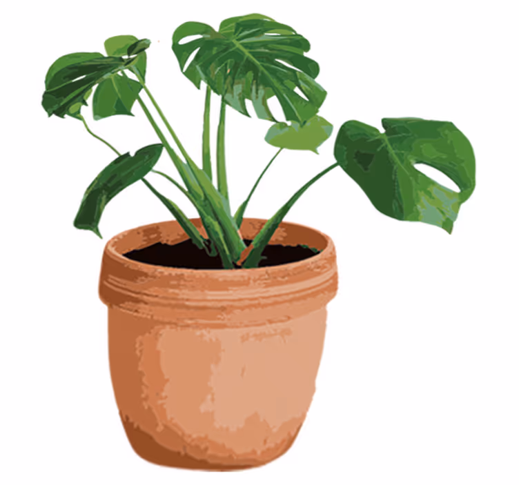 花と植物の壁画シンプルモンステラポット - TENSTICKERS