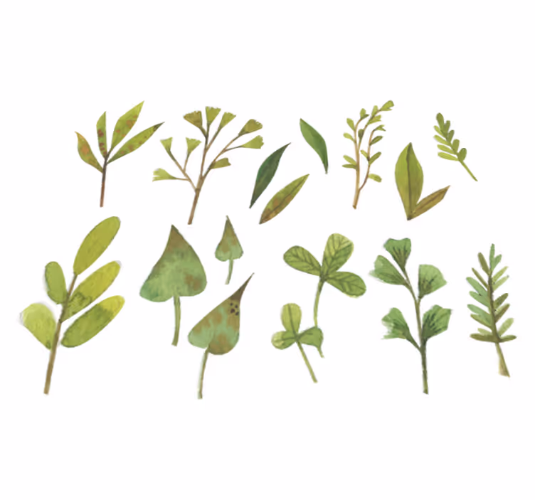 花と植物の壁画aquarella小葉 - TENSTICKERS