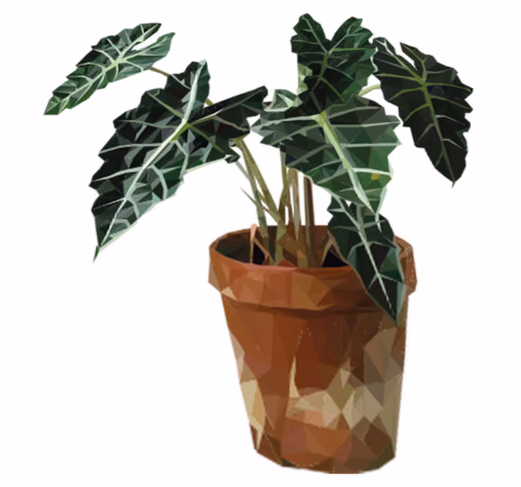 花と植物の壁画幾何学的な鉢植え - TENSTICKERS