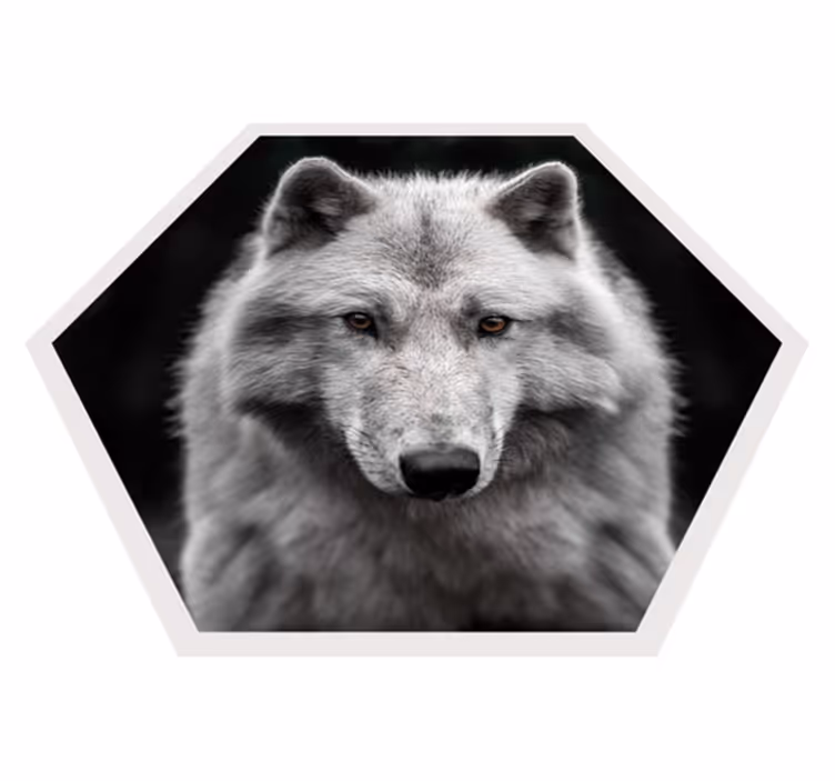 動物 ビニールマット オオカミの肖像 - TENSTICKERS