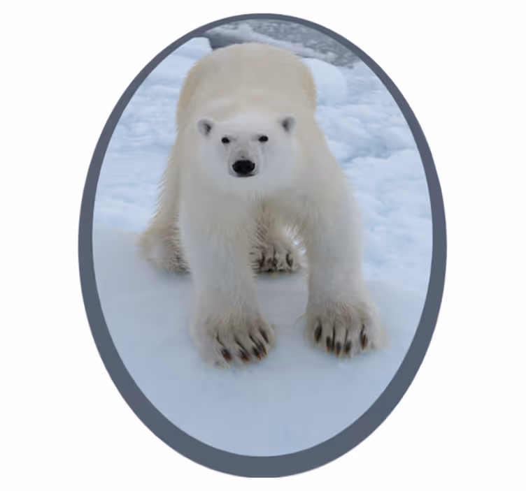 動物 ビニールマット シロクマの画像 - TENSTICKERS