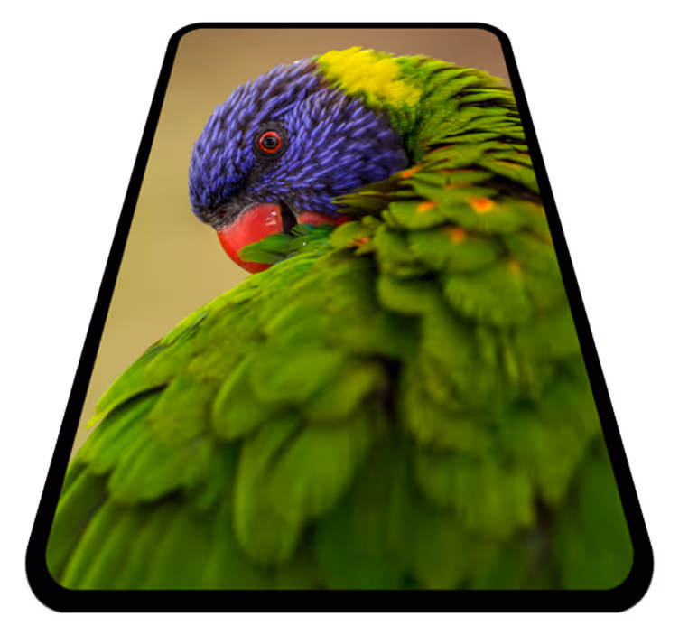 動物 ビニールマット カラフルなオウムのポートレート - TENSTICKERS