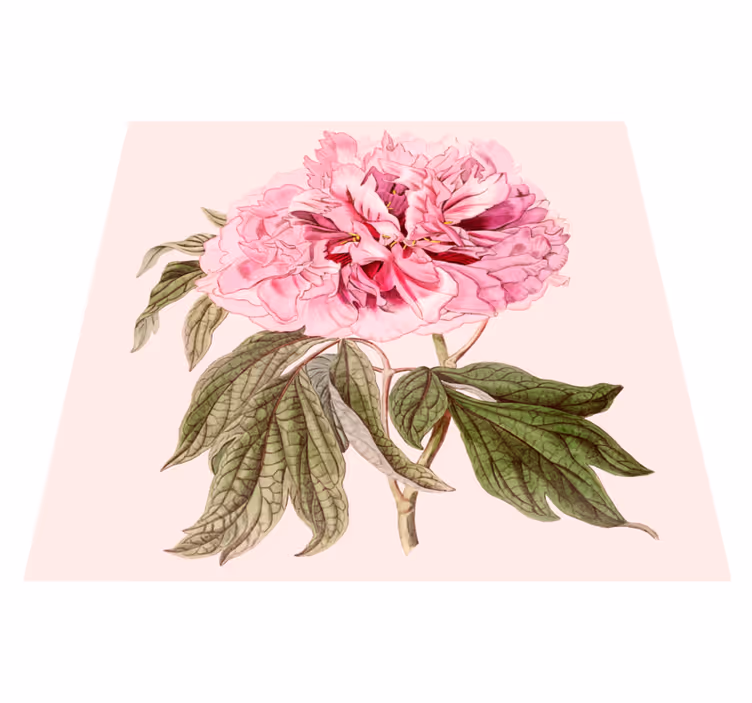 花と植物の壁画ピンクの芍薬の花 - TENSTICKERS