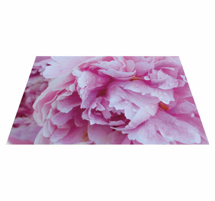 花と植物の壁画バラ色のシャクヤクの花 - TENSTICKERS