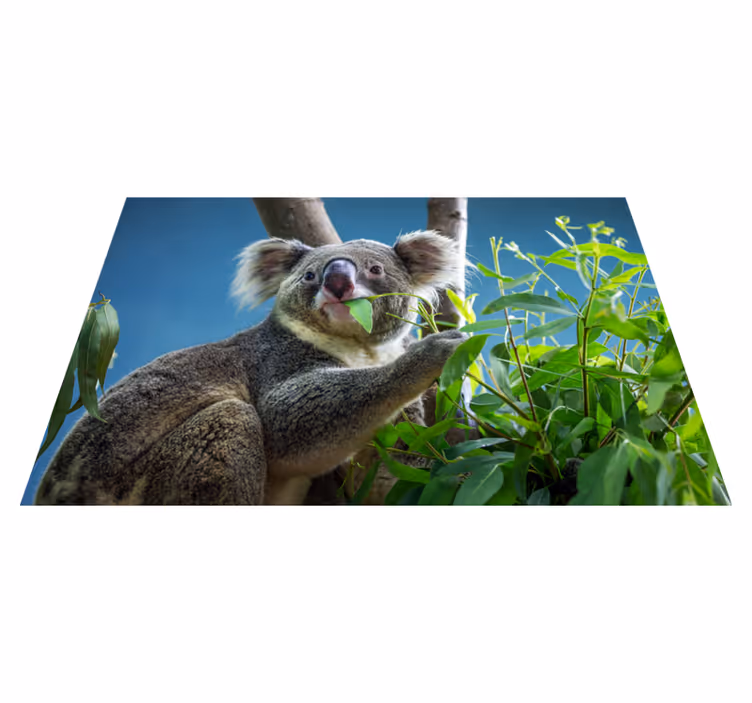 動物 ビニールマット 自然の中のコアラ - TENSTICKERS