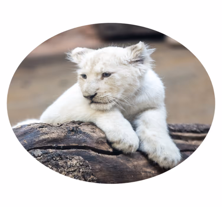 動物 ビニールマット ホワイトライオンの子供 - TENSTICKERS