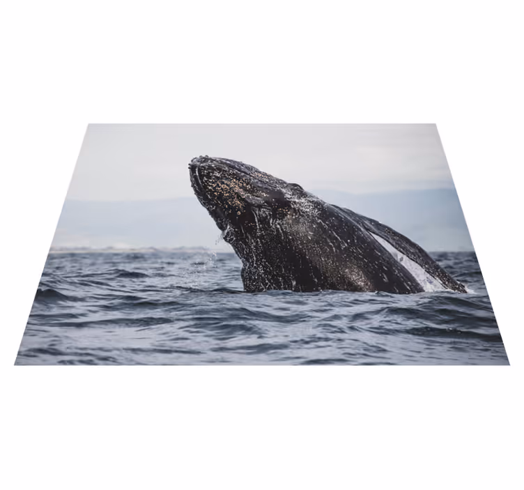 フォトミュラルネイチャー壮大なクジラの跳躍 - TENSTICKERS