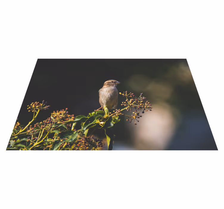 フォトミュラルネイチャー魅力的な鳥の止まり木 - TENSTICKERS
