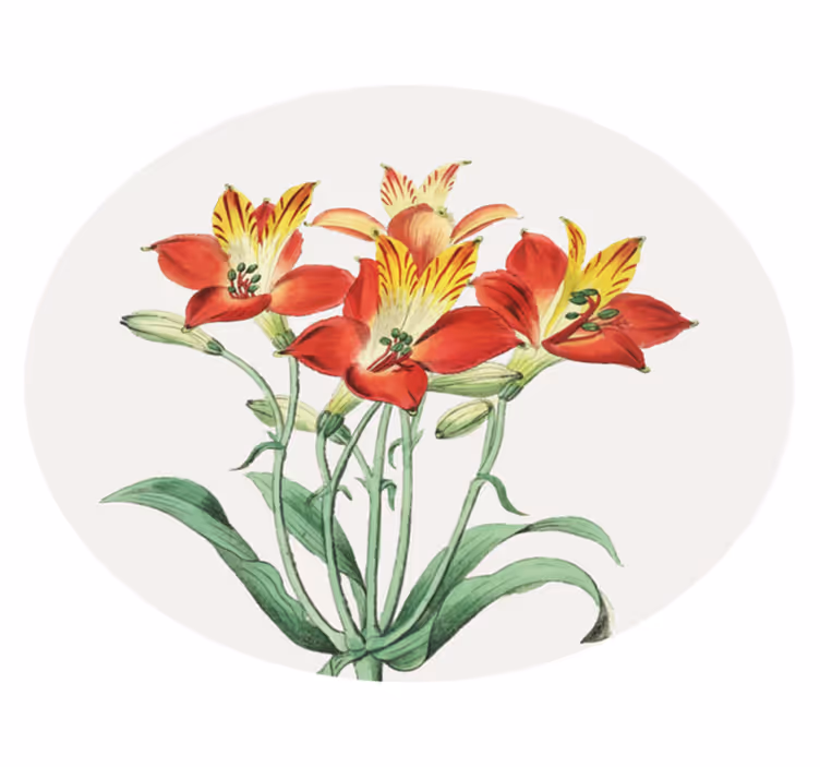 花と植物の壁画生き生きとした赤い花々 - TENSTICKERS
