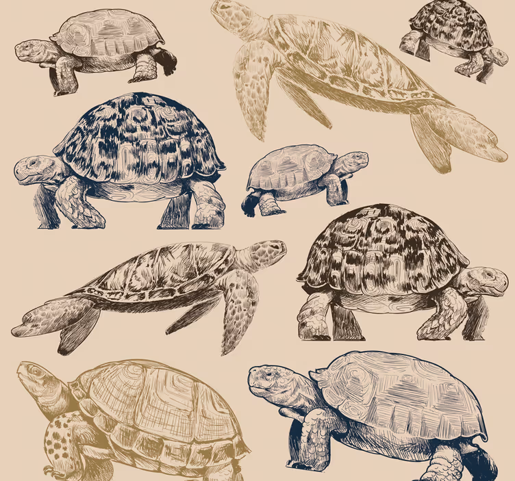動物 壁紙 カメコレクション - TENSTICKERS