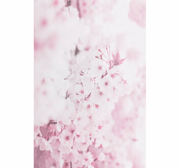 壁紙 花 薄いピンクの花の背景 - TENSTICKERS