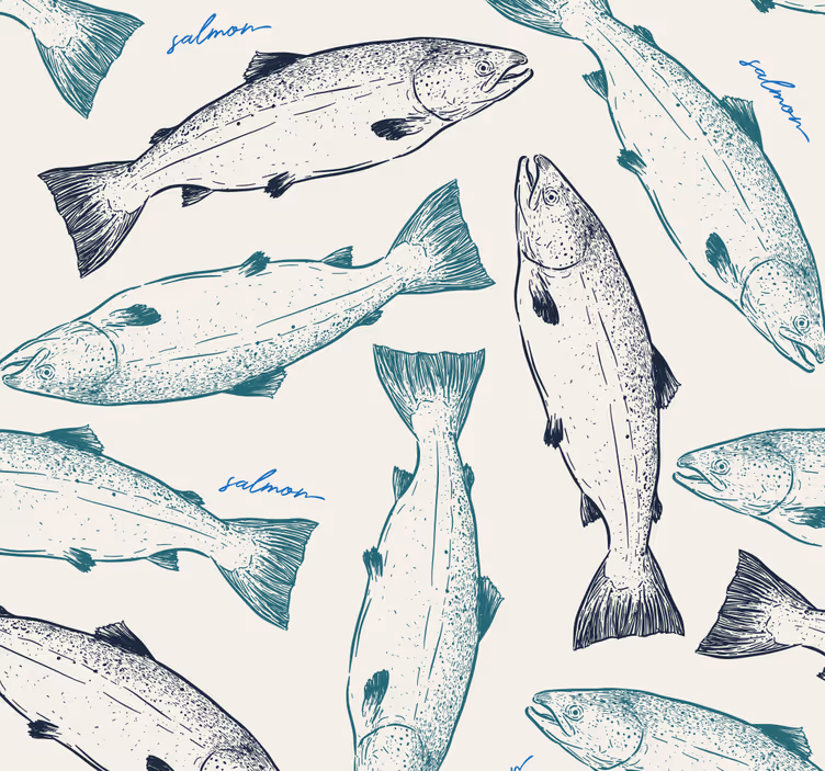 魚壁紙サーモンイラスト - TENSTICKERS