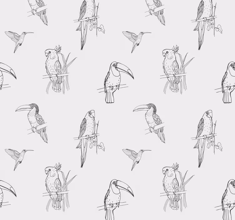 オウム壁紙 熱帯の鳥のスケッチ - TENSTICKERS