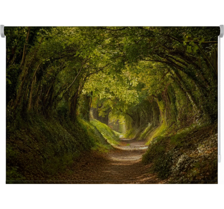 ブラインド 木 英国の緑の道 - TENSTICKERS