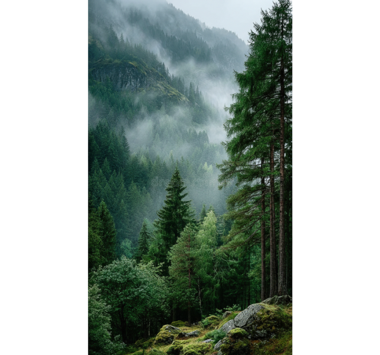 ブラインド 木の気まぐれな選択 - TENSTICKERS