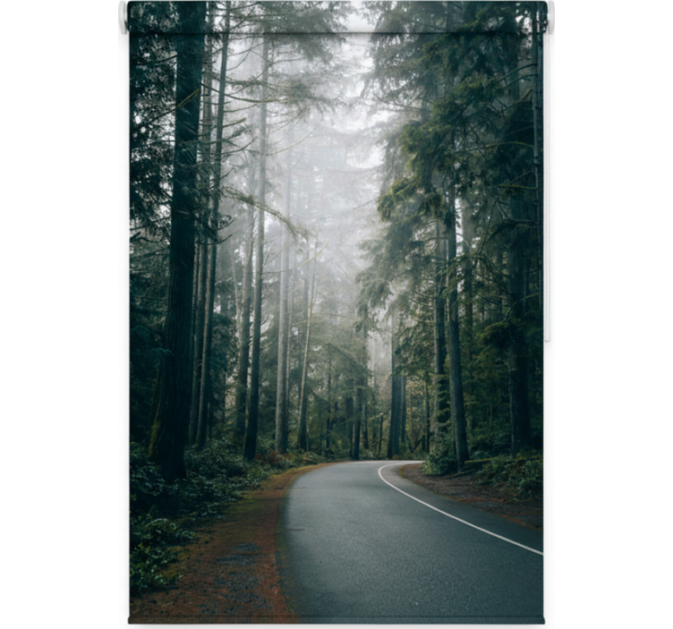 ブラインド 木 フォギーパインロード - TENSTICKERS