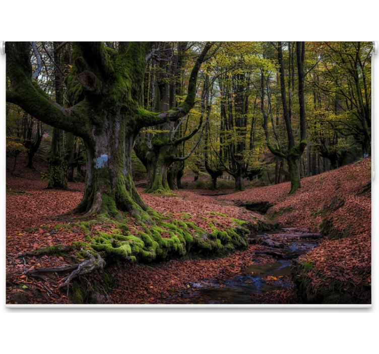 ブラインド 木 魅惑の秋の森 - TENSTICKERS