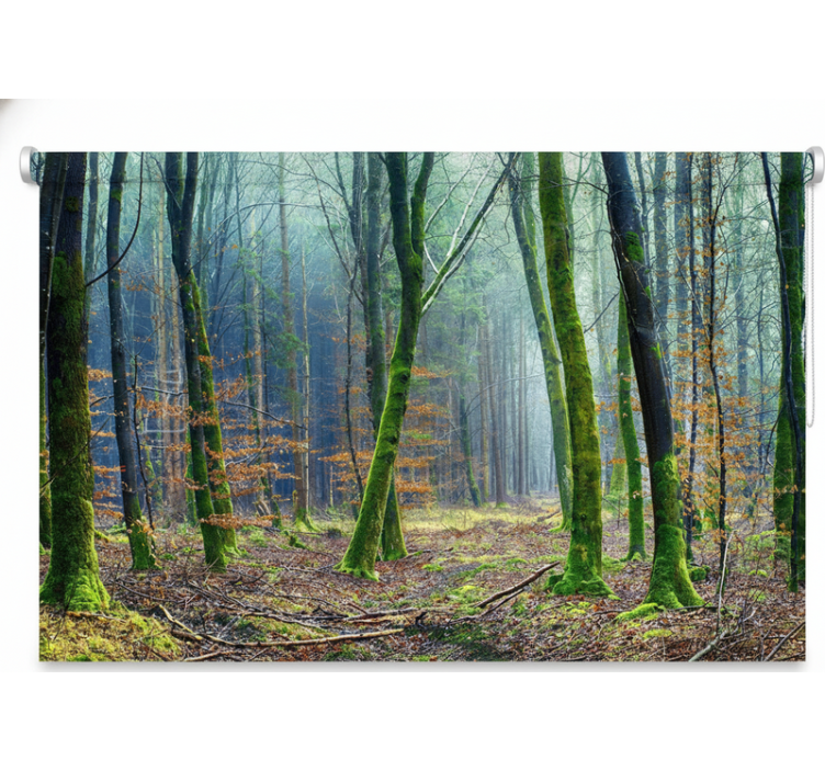 ブラインド 木 霧の森ジャパンディ - TENSTICKERS