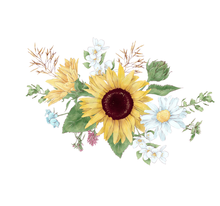 ブラインド 白 ひまわりとデイジーの花 - TENSTICKERS