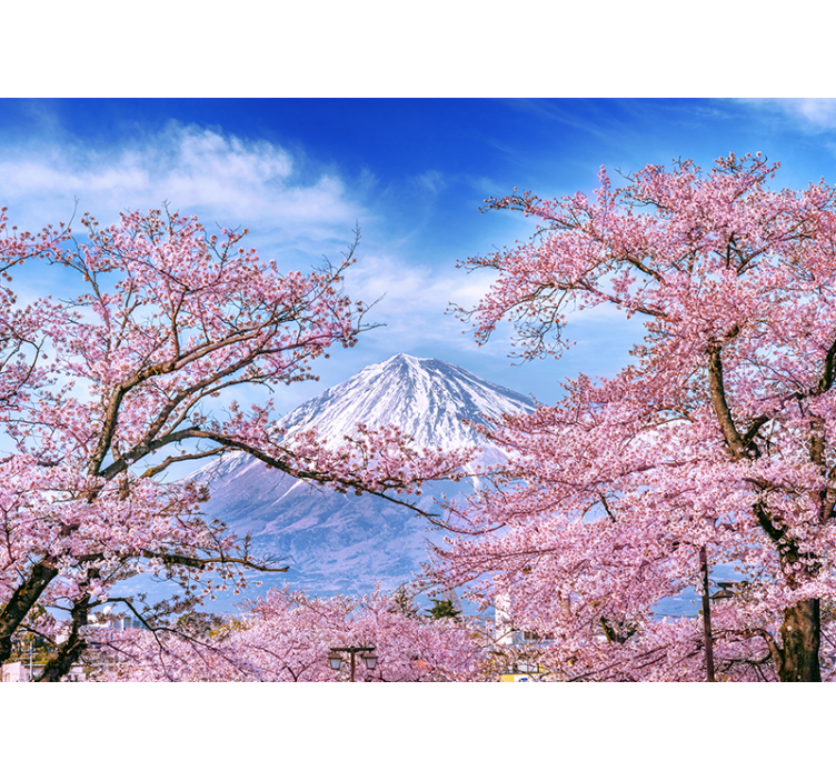 リビング カーテン ブラインド 山桜 - TENSTICKERS